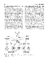 Bhagavan Medical Biochemistry 2001, page 916